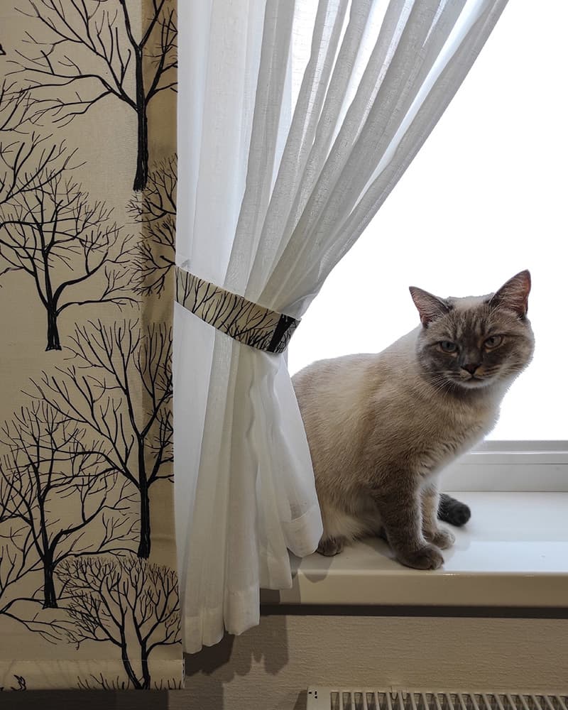 Изысканный дуэт: функциональность и стиль в оформлении окон с шторами на люверсах